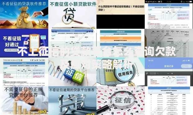 不上征信的贷款平台怎么查询欠款及应对策略解析