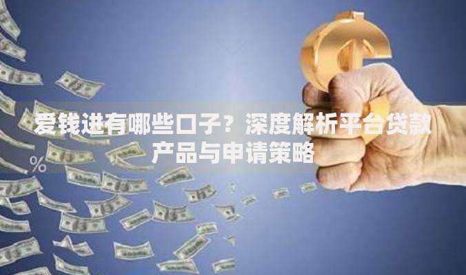 爱钱进有哪些口子？深度解析平台贷款产品与申请策略