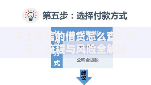 不上征信的借贷怎么查？方法、流程与风险全解析
