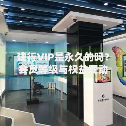 建行VIP是永久的吗？会员等级与权益变动深度解析