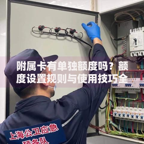 附属卡有单独额度吗？额度设置规则与使用技巧全解析