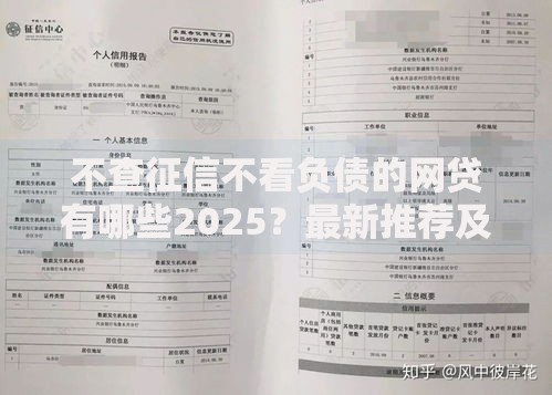 不查征信不看负债的网贷有哪些2025？最新推荐及申请指南