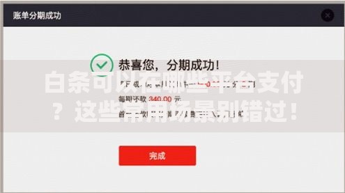 白条可以在哪些平台支付？这些常用场景别错过！