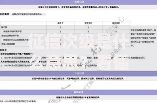 征信次级是什么意思？看懂你的信用评分关键指标