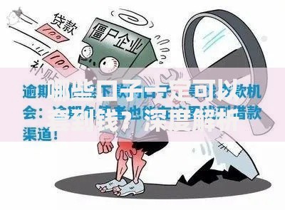 哪些口子一定可以套到钱？深度解析可靠借贷渠道