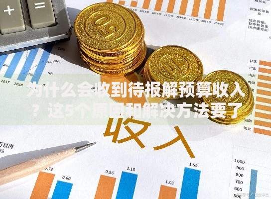 为什么会收到待报解预算收入？这5个原因和解决方法要了解