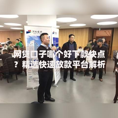 网贷口子哪个好下款快点？精选快速放款平台解析