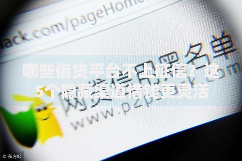哪些借贷平台不上征信？这5个隐藏渠道借钱更灵活