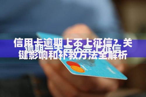 信用卡逾期上不上征信？关键影响和补救方法全解析