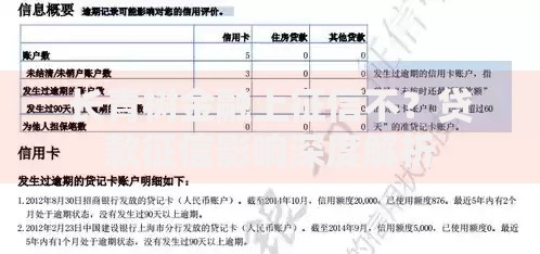 长青树金融上征信不？贷款征信影响深度解析