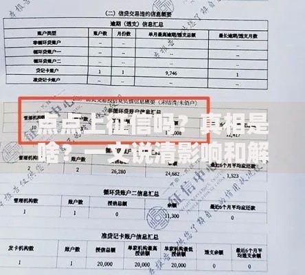 点点上征信吗？真相是啥？一文说清影响和解决办法
