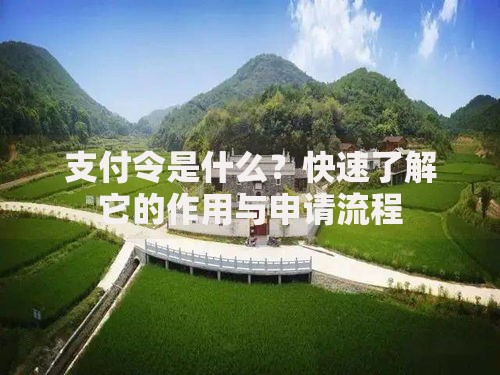 支付令是什么？快速了解它的作用与申请流程
