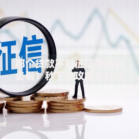 那个贷款不看征信急用钱必看！秒下款攻略大公开