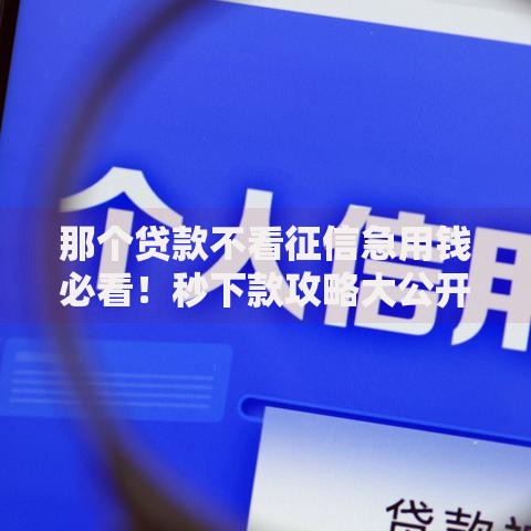 那个贷款不看征信急用钱必看！秒下款攻略大公开