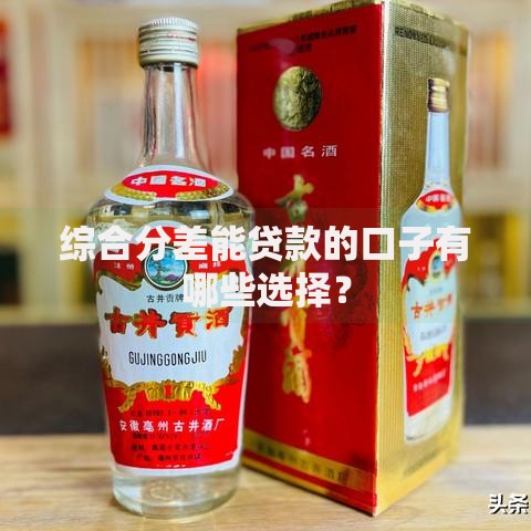 综合分差能贷款的口子有哪些选择？
