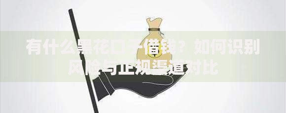 有什么黑花口子借钱？如何识别风险与正规渠道对比