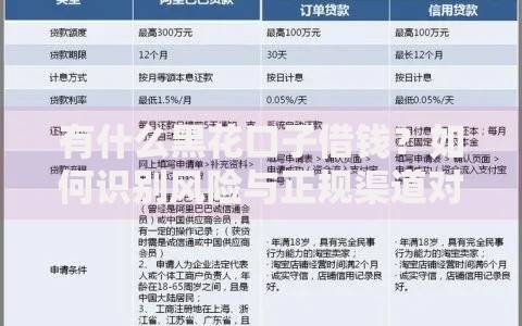 有什么黑花口子借钱？如何识别风险与正规渠道对比
