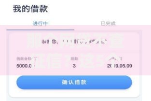 那个网贷不查征信？这5个平台审核快、门槛低