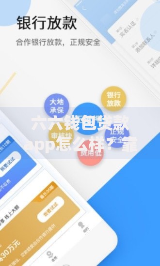 六六钱包贷款app怎么样？靠谱吗？申请流程及用户反馈解析