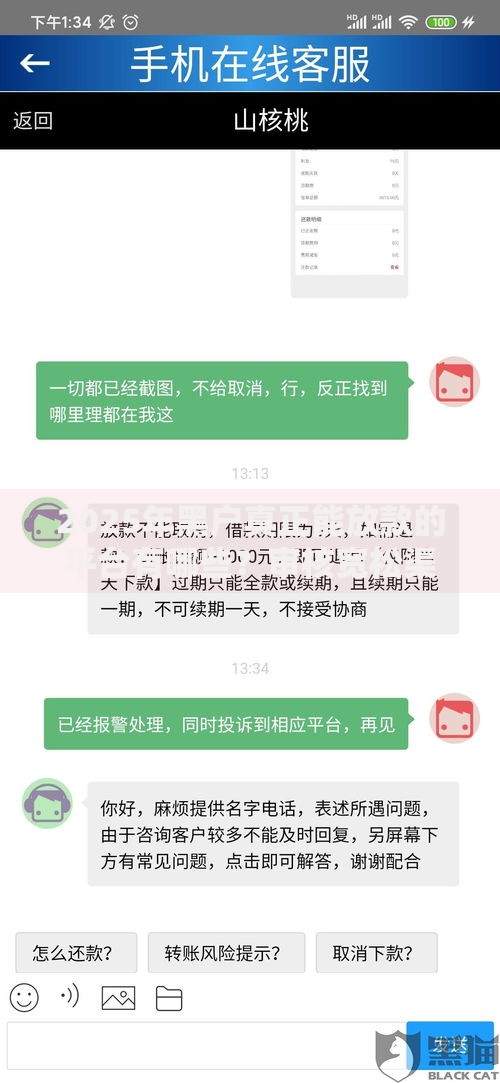 2025年黑户真正能放款的平台有哪些？审核宽松渠道解析