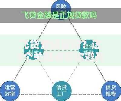 飞贷查征信吗？这5个关键点帮你避开信用雷区