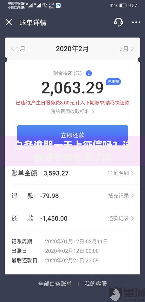 白条逾期一天上征信吗？这些细节你必须了解