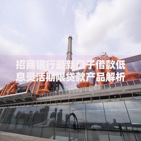 招商银行最新口子借款低息灵活期限贷款产品解析