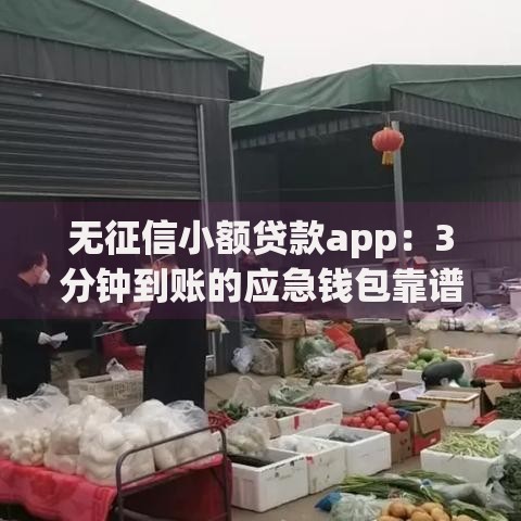 无征信小额贷款app：3分钟到账的应急钱包靠谱吗？