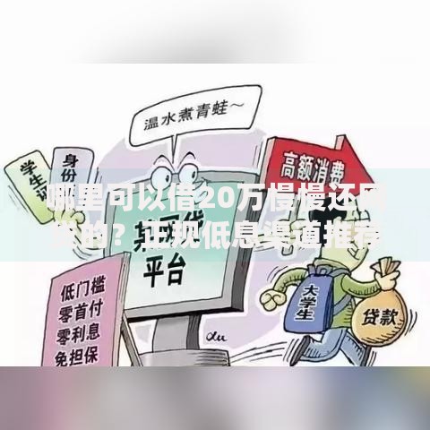 哪里可以借20万慢慢还网贷的？正规低息渠道推荐