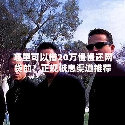哪里可以借20万慢慢还网贷的？正规低息渠道推荐