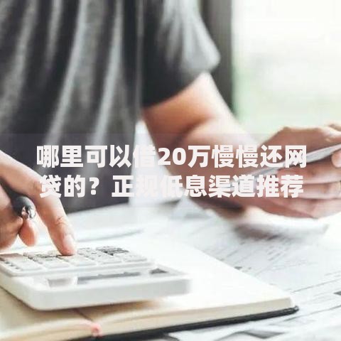 哪里可以借20万慢慢还网贷的？正规低息渠道推荐