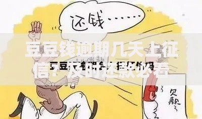 豆豆钱逾期几天上征信？及时还款必看，避免信用受损！