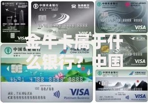 金牛卡属于什么银行？中国农业银行特色卡种全解析
