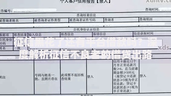 征信黑花了还有平台借款吗？深度解析征信不良者的借贷出路