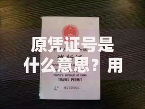 原凭证号是什么意思？用途、重要性及常见问题解析