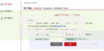 微信个人征信查询系统：信用报告怎么查才靠谱？