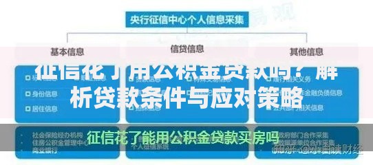 征信花了用公积金贷款吗？解析贷款条件与应对策略