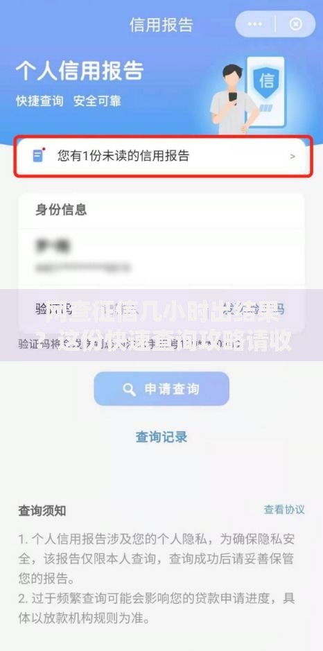 网查征信几小时出结果？这份快速查询攻略请收好