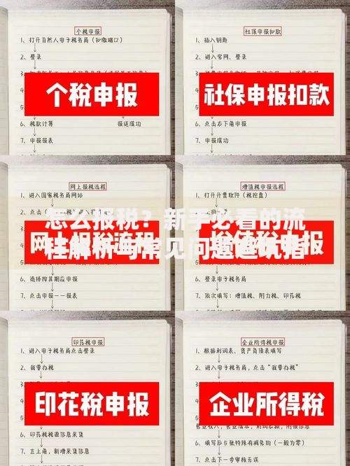 怎么报税？新手必看的流程解析与常见问题避坑指南