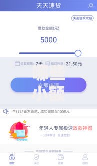 哪些小额贷不上征信？正规平台解析与选择指南