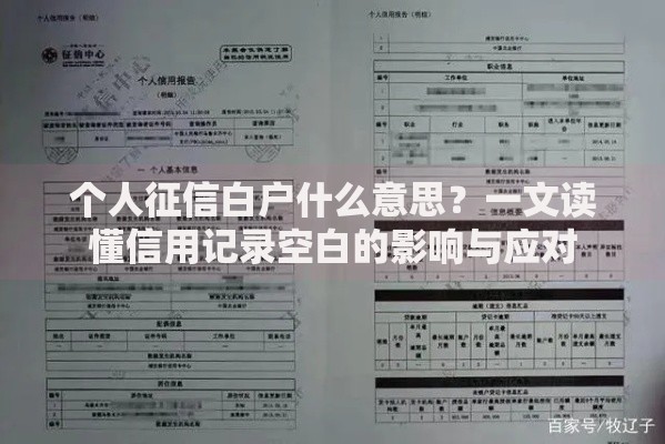 个人征信白户什么意思？一文读懂信用记录空白的影响与应对