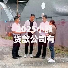 2025小额贷款公司有哪些？最新名单与选择攻略