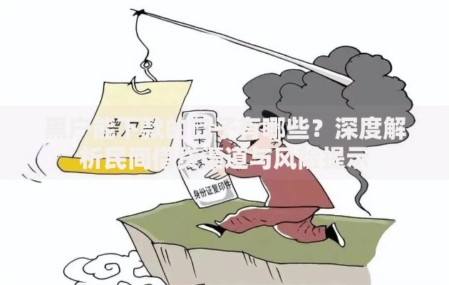 黑户能下款的口子有哪些？深度解析民间借贷渠道与风险提示
