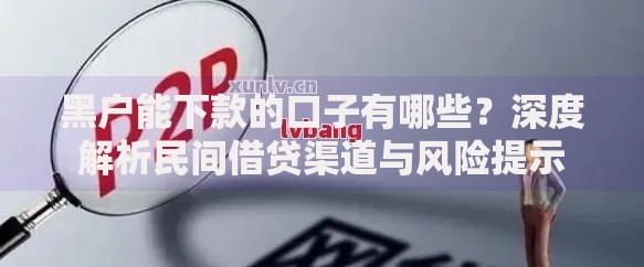 贷款平台新口子如何选择？权威解析与申请指南