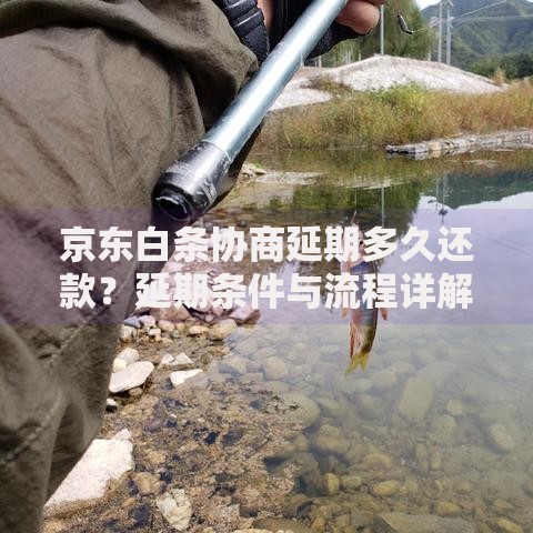 京东白条协商延期多久还款？延期条件与流程详解