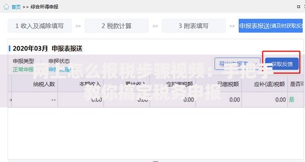网上怎么报税步骤视频：手把手教你搞定税务申报