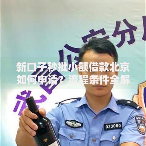 新口子秒批小额借款北京如何申请？流程条件全解析
