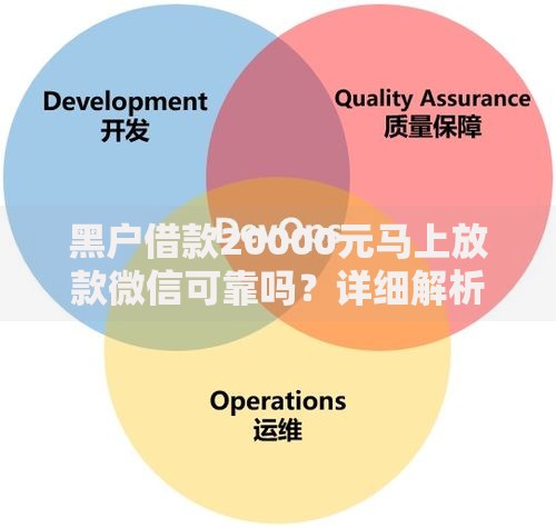 黑户借款20000元马上放款微信可靠吗？详细解析流程与风险