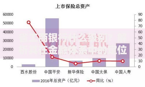 省工商银行什么级别?解析其在金融体系中的定位与影响力 省工商银行什么级别?解析其在金融体系中的定位与影响力