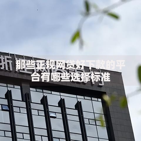 那些正规网贷好下款的平台有哪些选择标准
